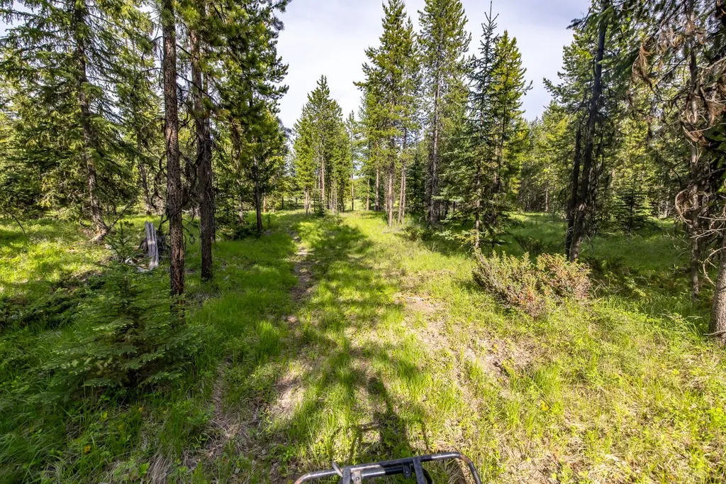 Nhn Fortine Creek Road Trego MT 59934