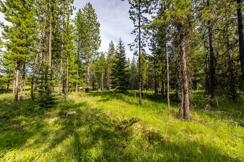 Nhn Fortine Creek Road Trego MT 59934