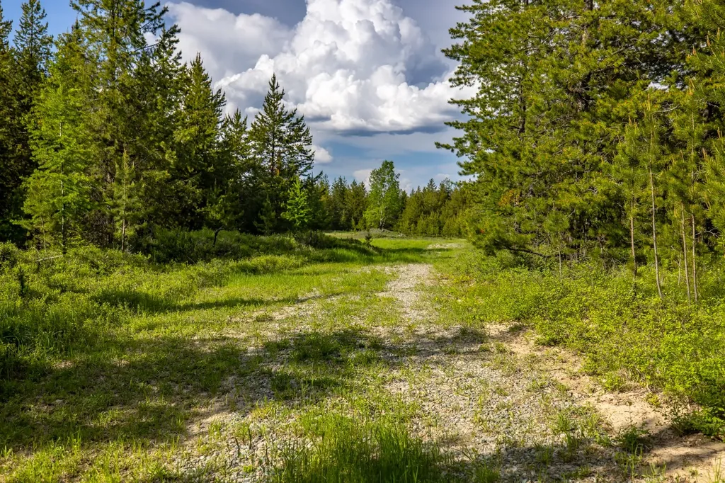 Nhn Fortine Creek Road Trego MT 59934