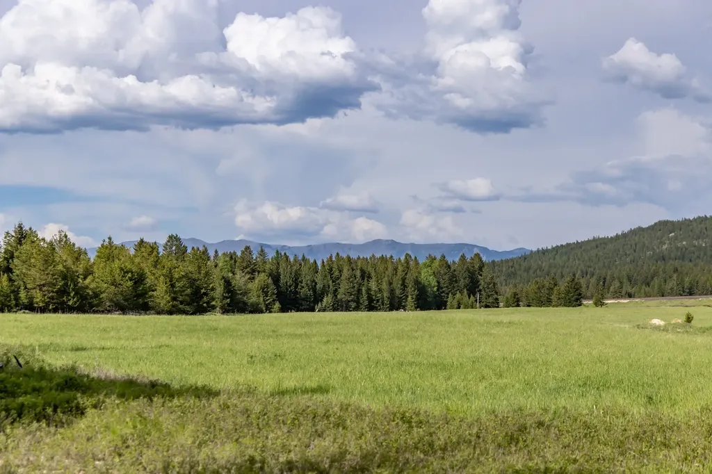 Nhn Fortine Creek Road Trego MT 59934