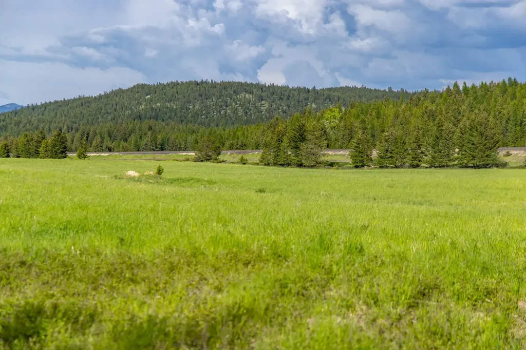 Nhn Fortine Creek Road Trego MT 59934