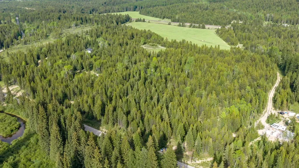 Nhn Fortine Creek Road Trego MT 59934