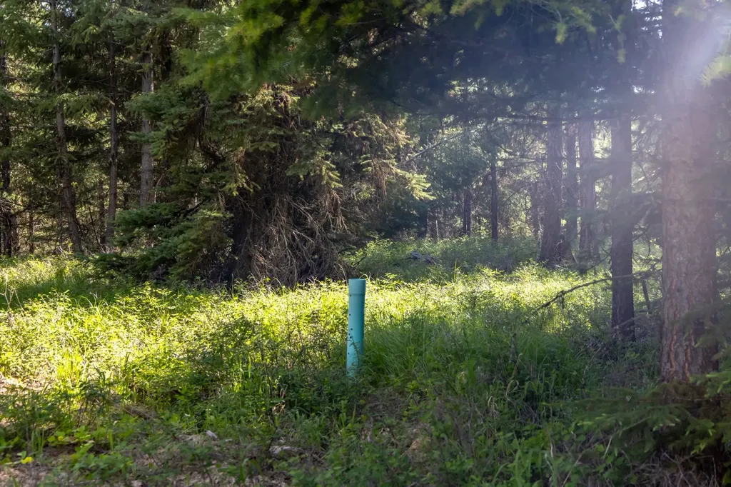 Nhn Fortine Creek Road Trego MT 59934