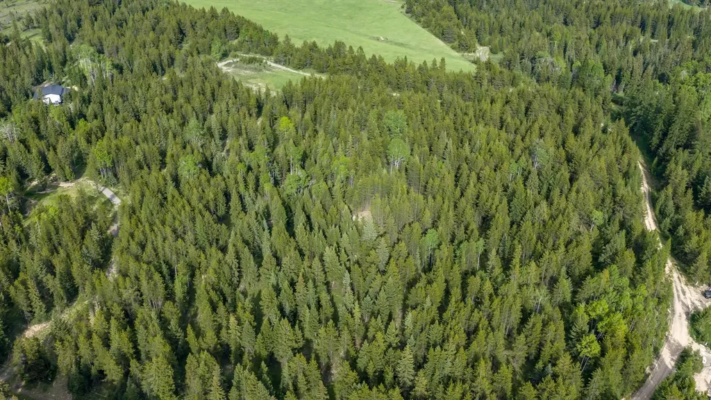 Nhn Fortine Creek Road Trego MT 59934