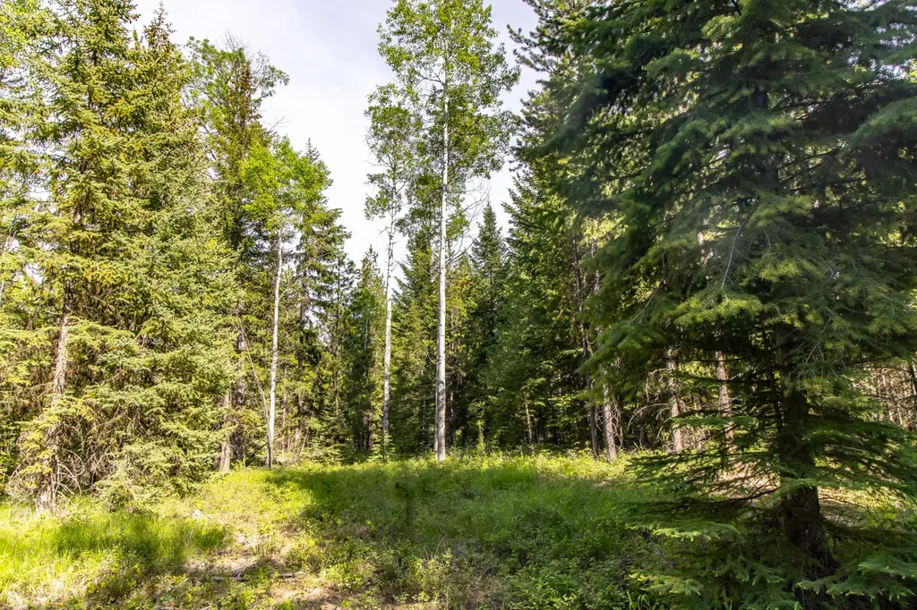Nhn Fortine Creek Road Trego MT 59934