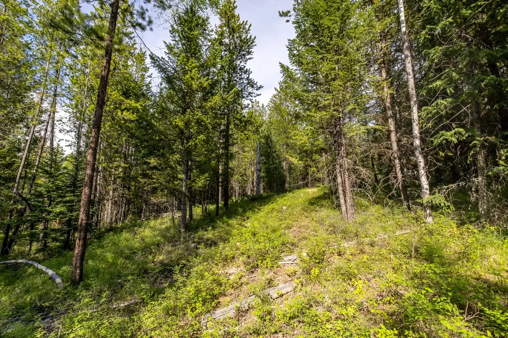 Nhn Fortine Creek Road Trego MT 59934