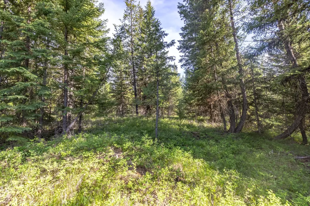 Nhn Fortine Creek Road Trego MT 59934