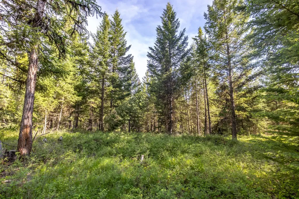 Nhn Fortine Creek Road Trego MT 59934