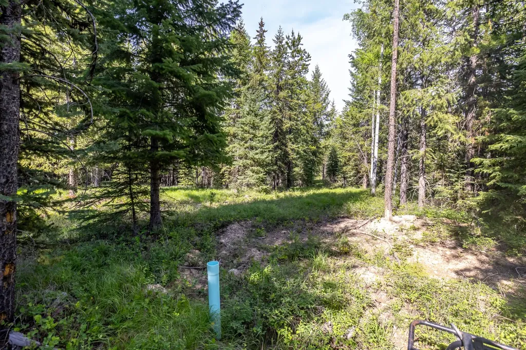 Nhn Fortine Creek Road Trego MT 59934