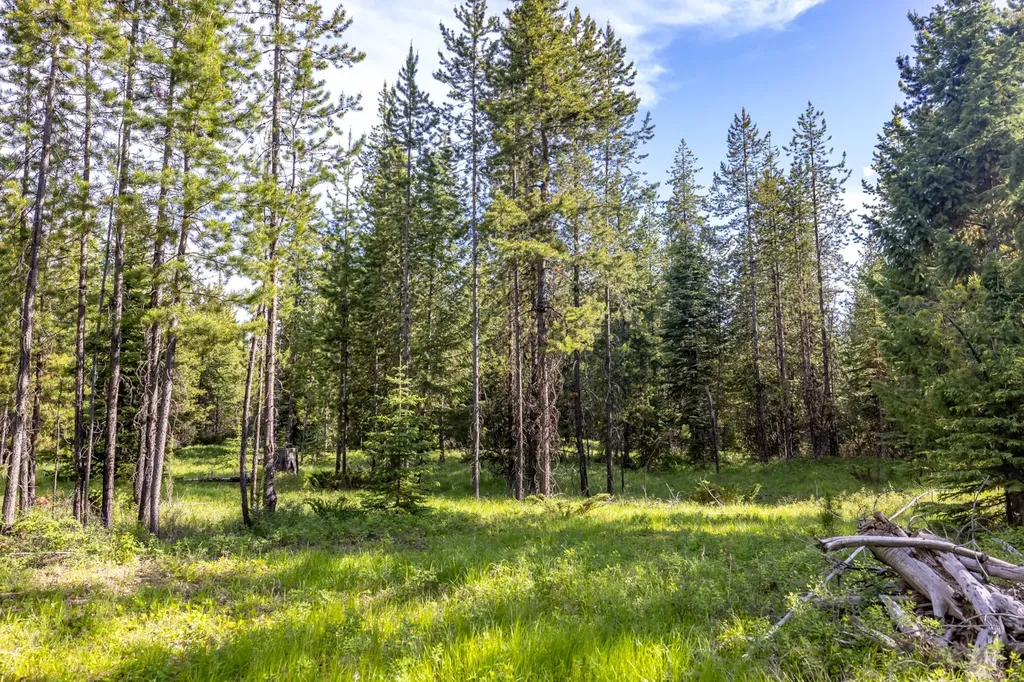 Nhn Fortine Creek Road Trego MT 59934