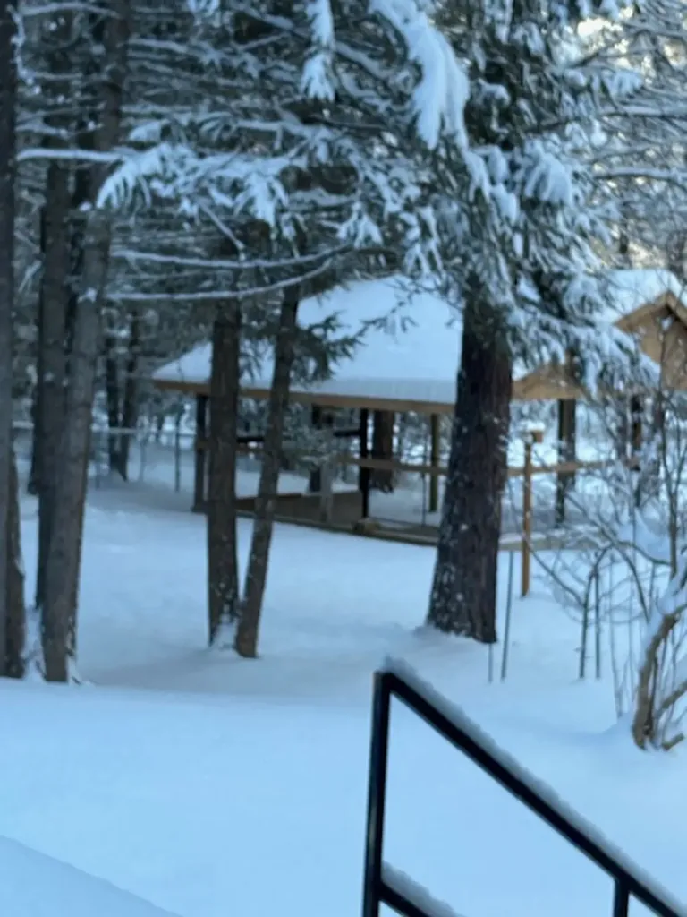 250 Sunnyside Drive Libby MT 59923