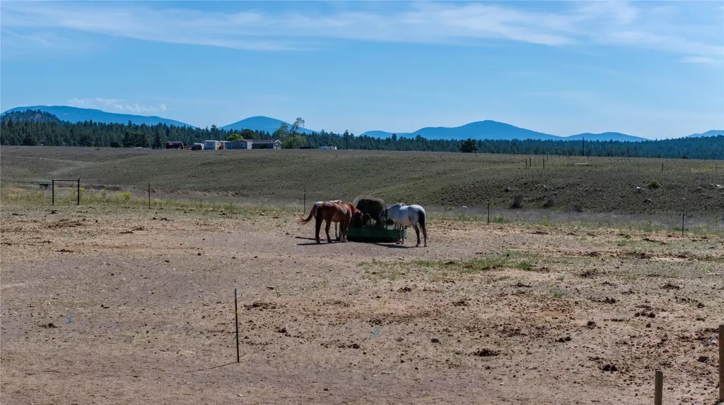 2376 Tea Road Helena MT 59602