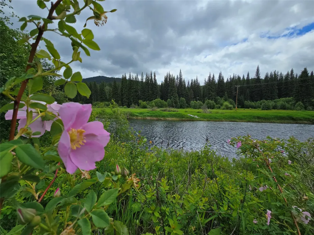 670 Gus Creek Road Yaak MT 59935