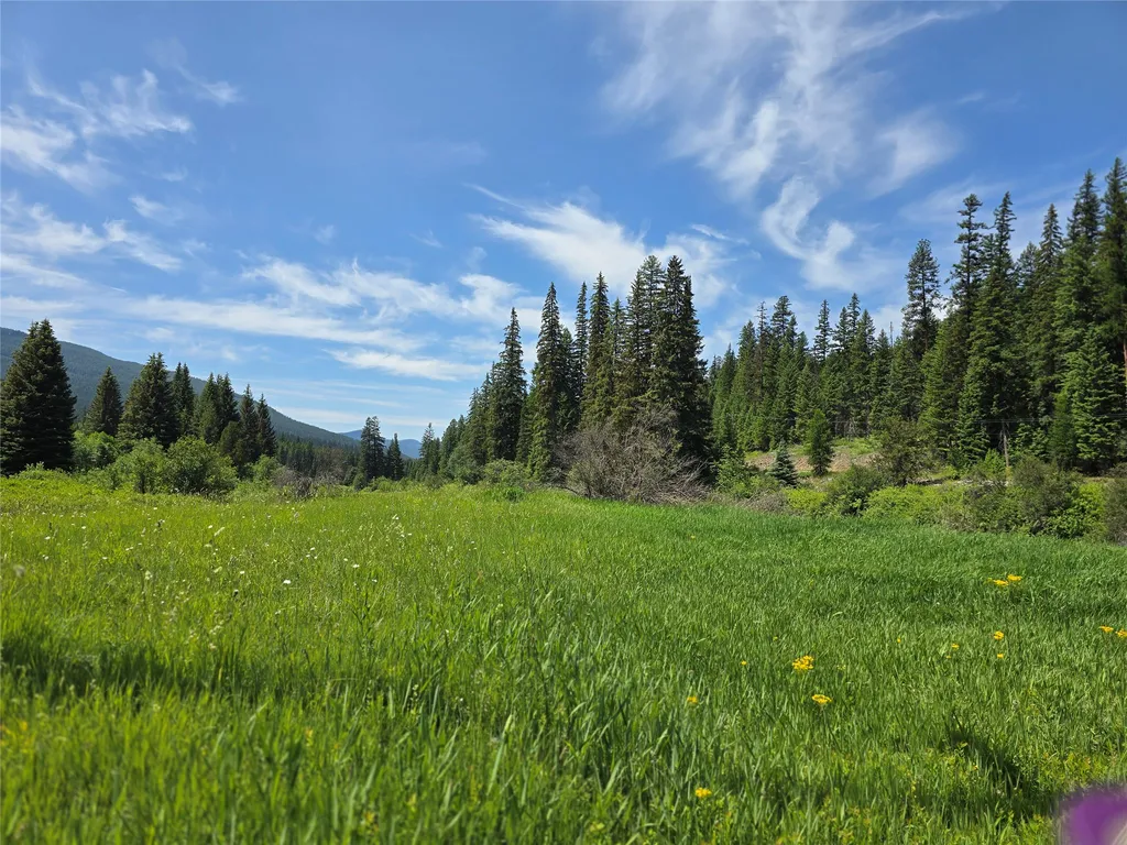 670 Gus Creek Road Yaak MT 59935