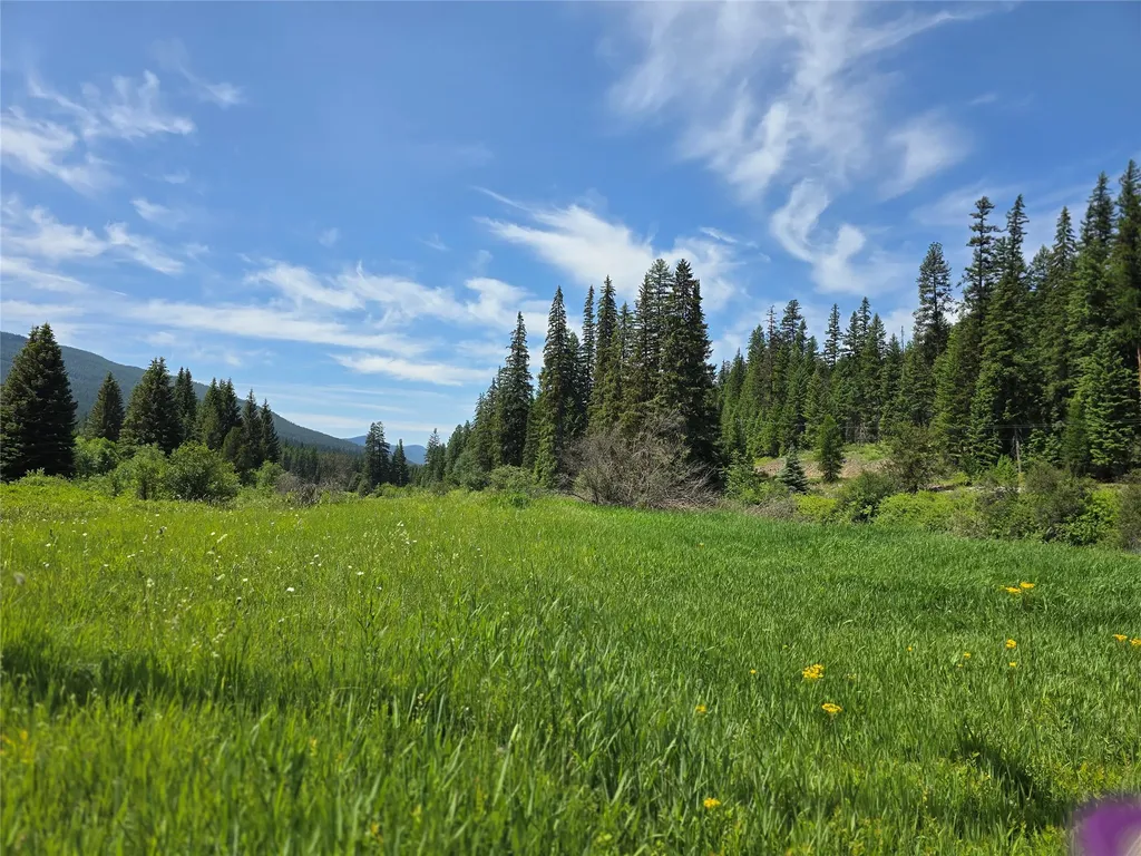 670 Gus Creek Road Yaak MT 59935