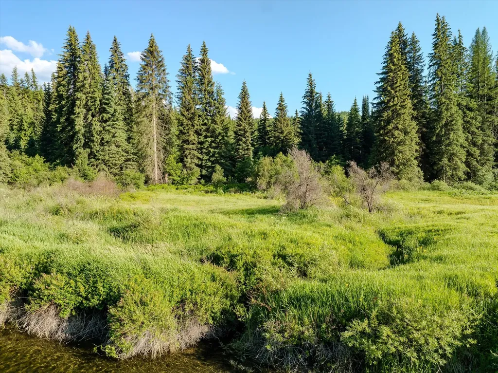 670 Gus Creek Road Yaak MT 59935