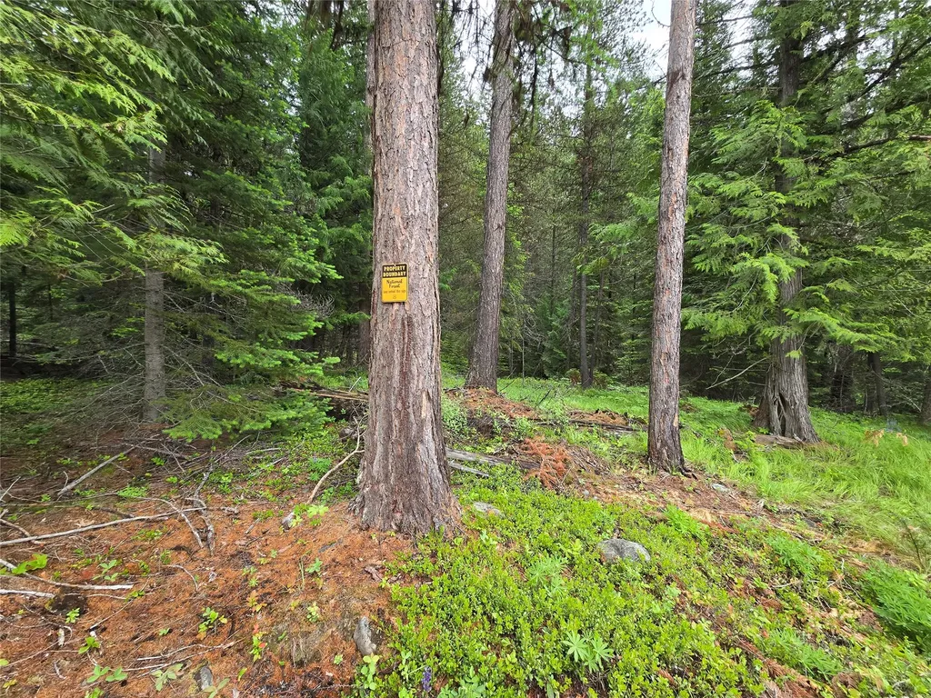 670 Gus Creek Road Yaak MT 59935