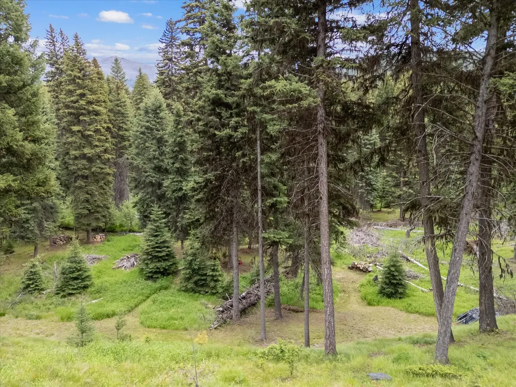 780 Evergreen Drive Seeley Lake MT 59868
