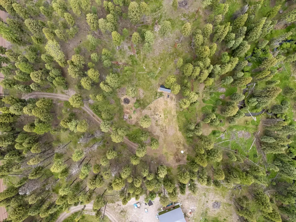 780 Evergreen Drive Seeley Lake MT 59868