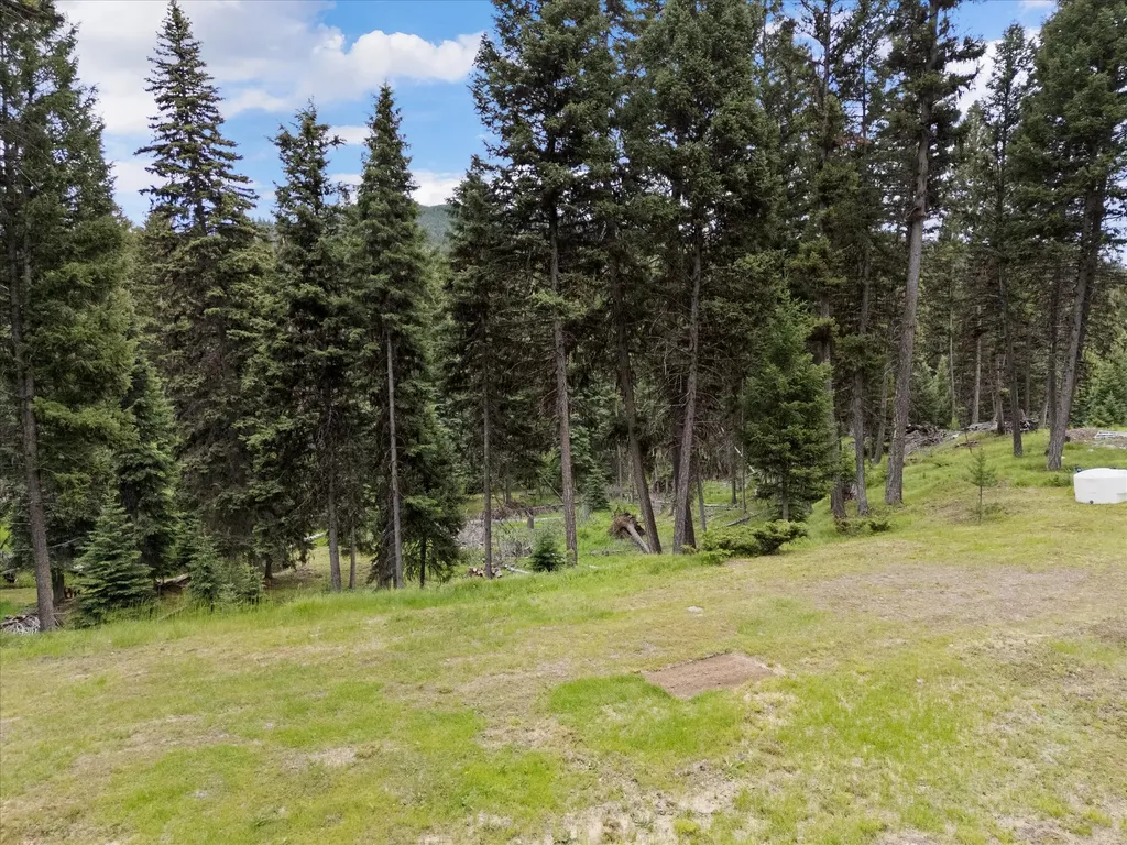 780 Evergreen Drive Seeley Lake MT 59868