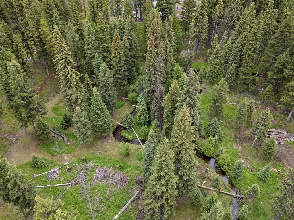 780 Evergreen Drive Seeley Lake MT 59868