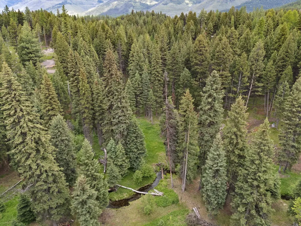 780 Evergreen Drive Seeley Lake MT 59868