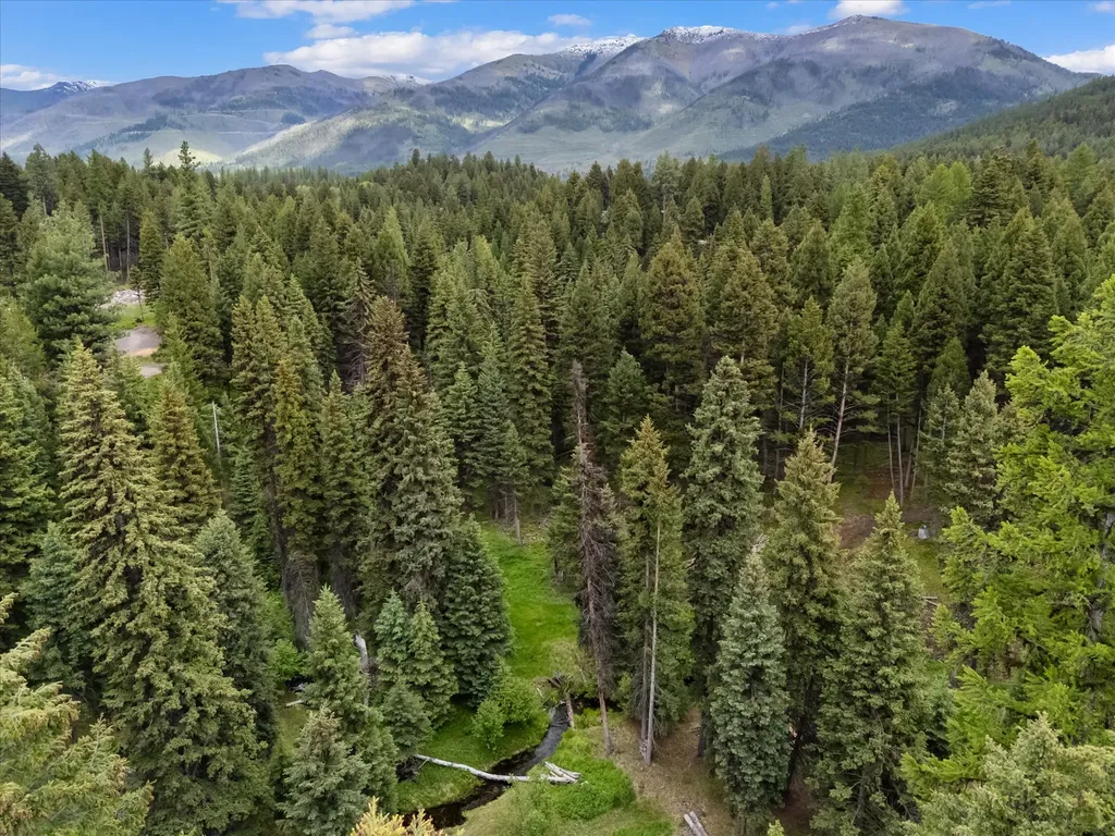 780 Evergreen Drive Seeley Lake MT 59868