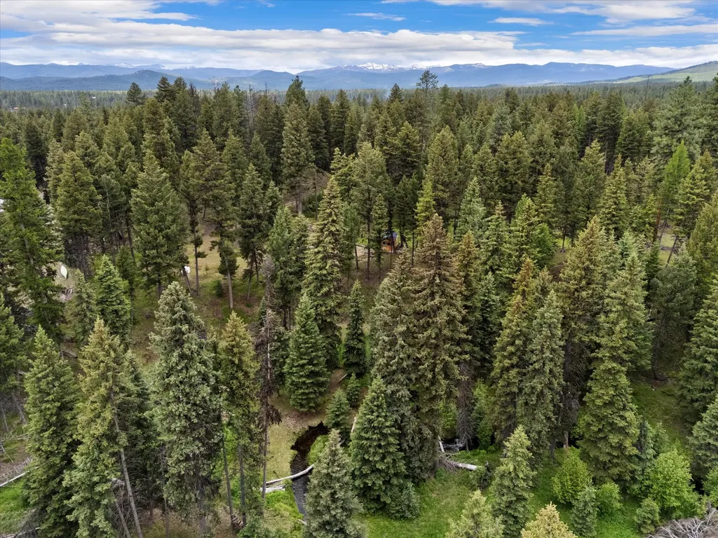 780 Evergreen Drive Seeley Lake MT 59868