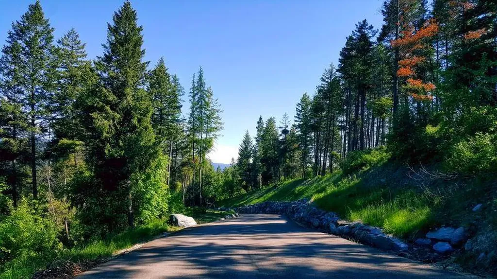 32720 Pine Meadow Drive Bigfork MT 59911