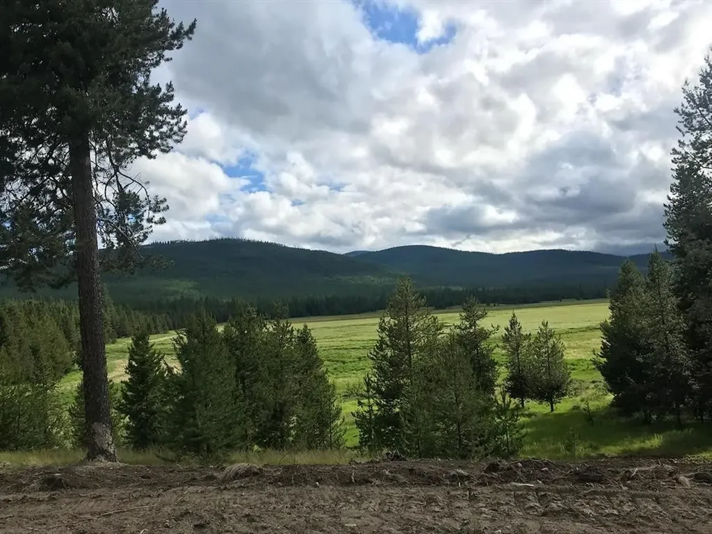 Tract 2 Mcgregors Meadow Road W Marion MT 59925