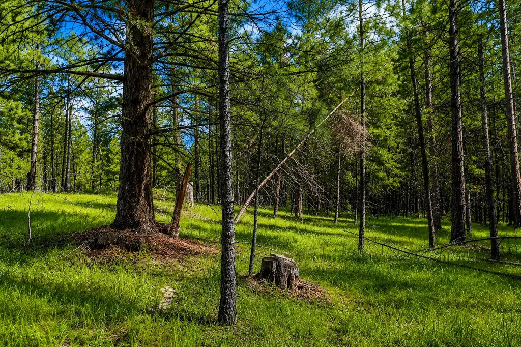 2025 Haywire Gulch Kalispell MT 59901