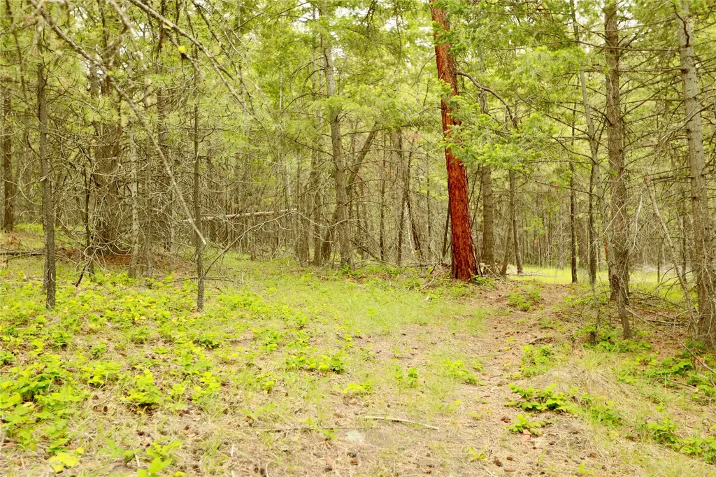 2025 Haywire Gulch Kalispell MT 59901