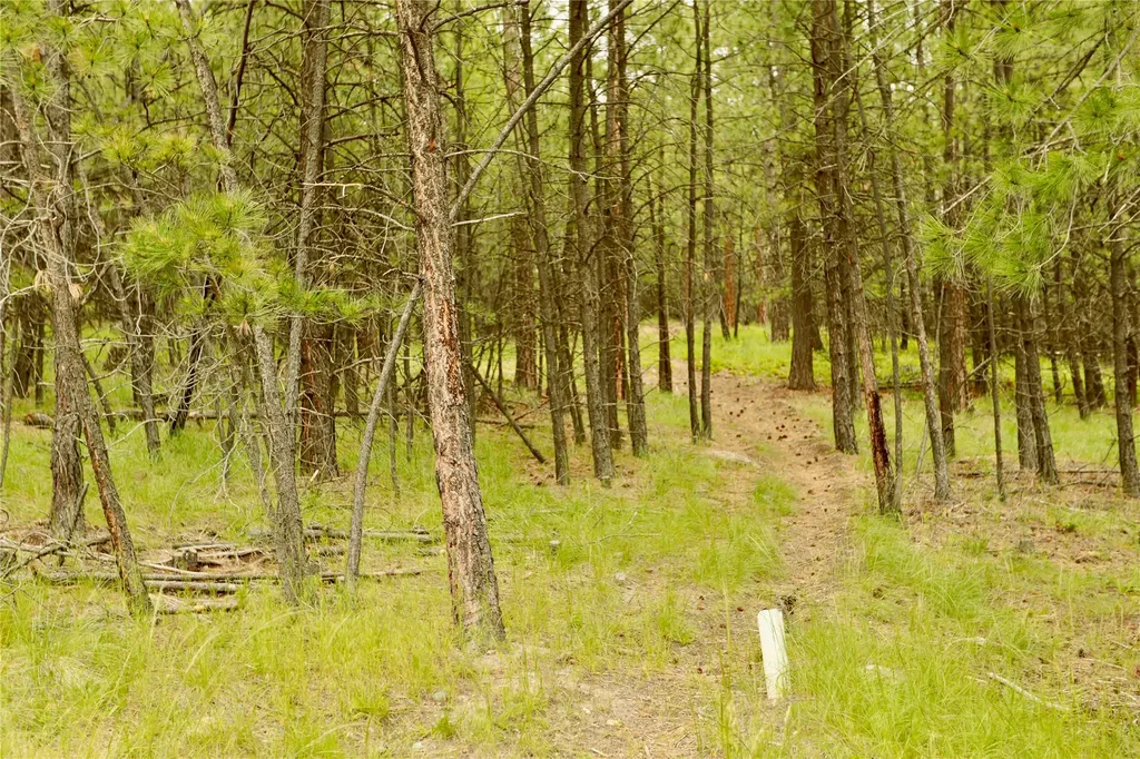 2025 Haywire Gulch Kalispell MT 59901