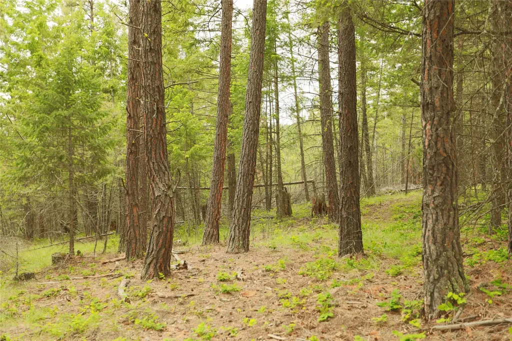 2025 Haywire Gulch Kalispell MT 59901