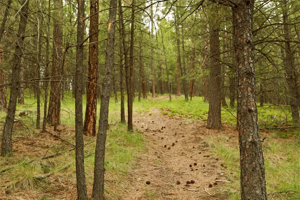 2025 Haywire Gulch Kalispell MT 59901