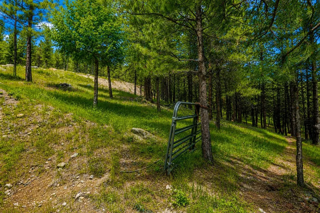2025 Haywire Gulch Kalispell MT 59901