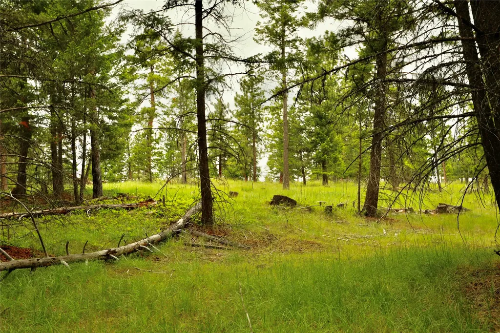 2025 Haywire Gulch Kalispell MT 59901