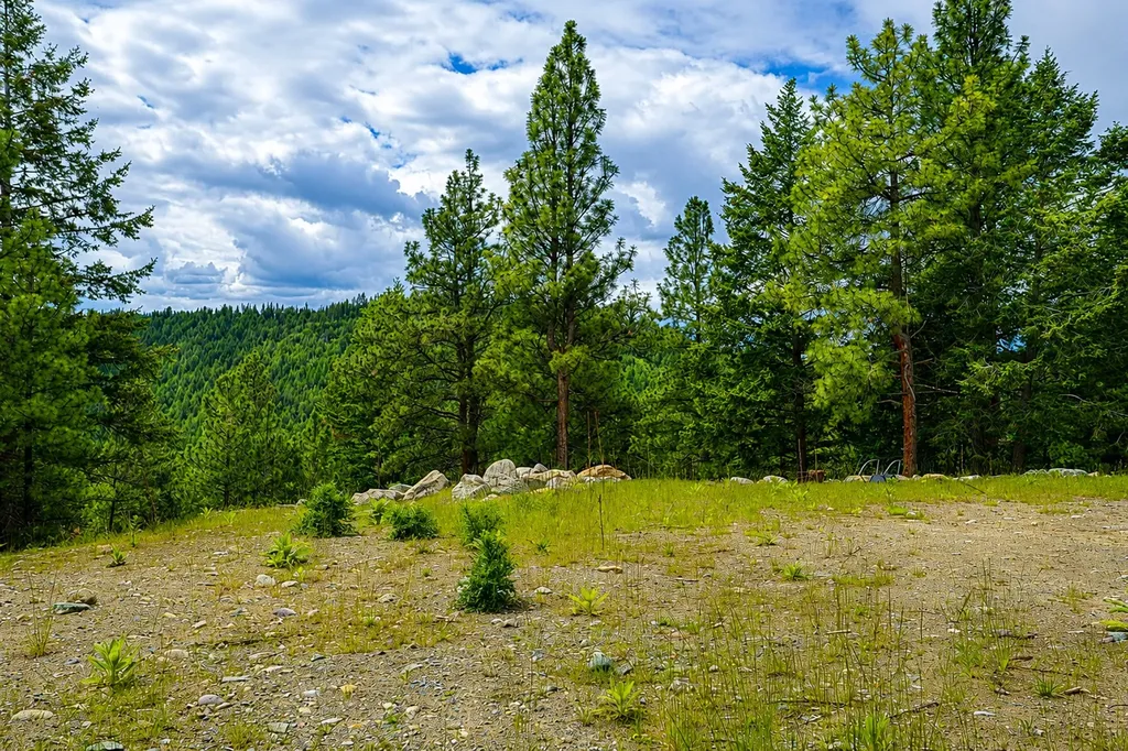 2025 Haywire Gulch Kalispell MT 59901