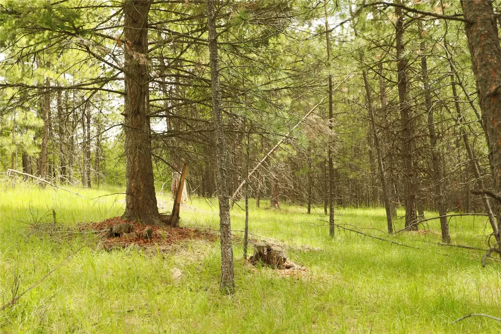 2025 Haywire Gulch Kalispell MT 59901