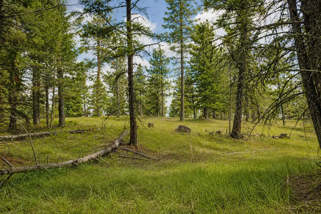 2025 Haywire Gulch Kalispell MT 59901