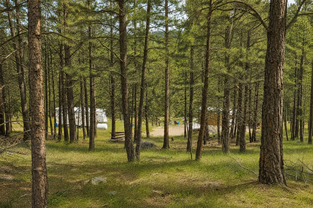 2025 Haywire Gulch Kalispell MT 59901