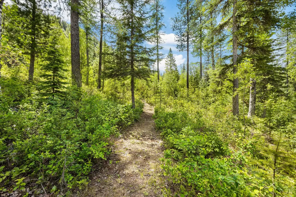 3965 North Fork Road Columbia Falls MT 59912