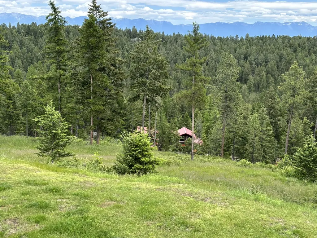 67 Overlook Ridge Kalispell MT 59901