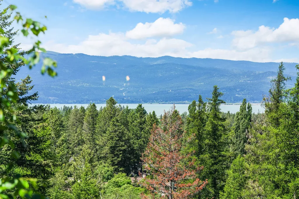1161 Whispering Rock Bigfork MT 59911