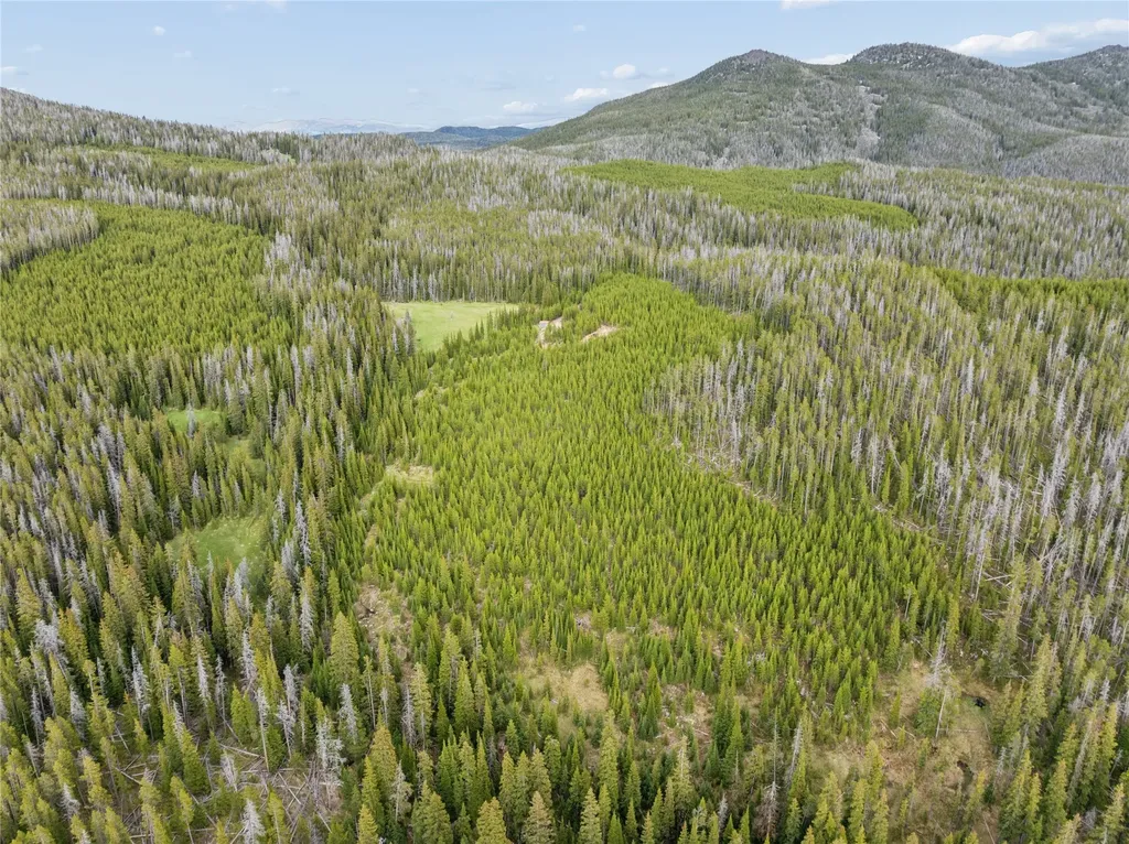 Tbd Dorothy Snow Lode Basin MT 59006