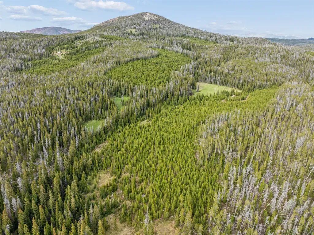 Tbd Dorothy Snow Lode Basin MT 59006