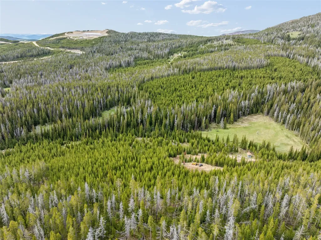 Tbd Dorothy Snow Lode Basin MT 59006