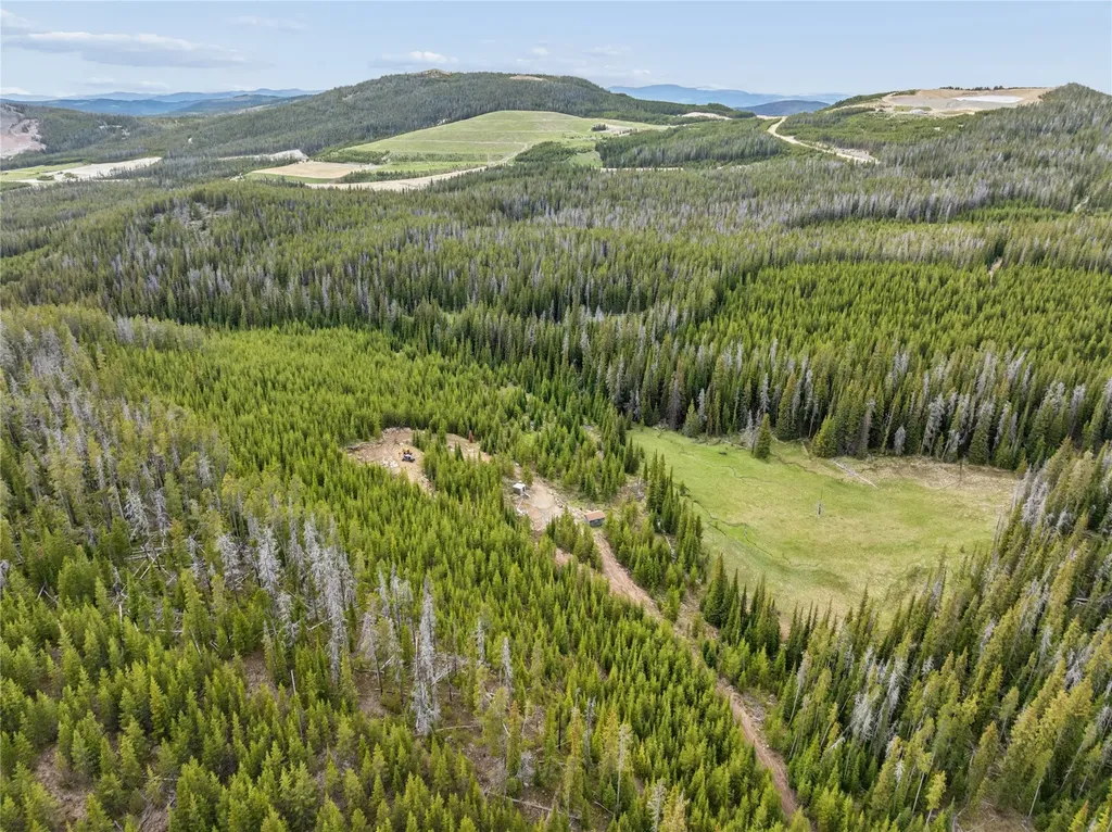 Tbd Dorothy Snow Lode Basin MT 59006