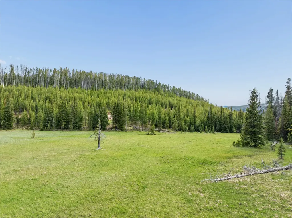 Tbd Dorothy Snow Lode Basin MT 59006