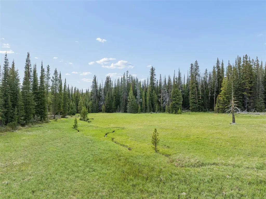 Tbd Dorothy Snow Lode Basin MT 59006